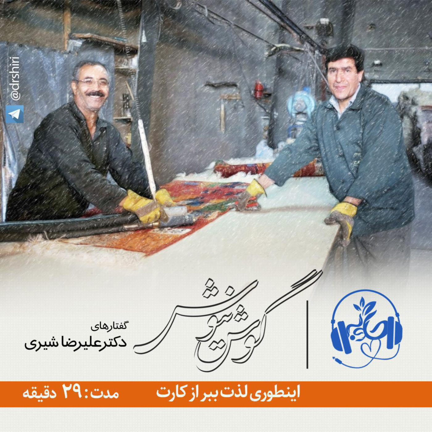 گوش نیوش : اینطور  لذت ببر از کارت