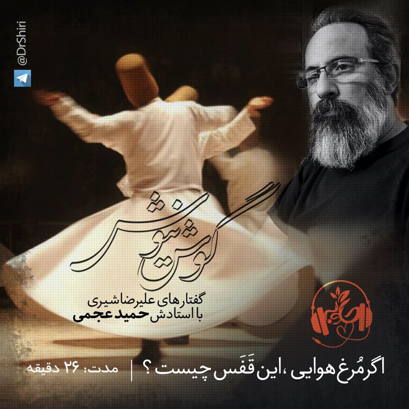 گوش نیوش : اگر مرغ هوایی  این قفس چیست